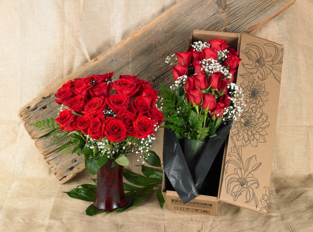 Double Dozen Roses - 24 long stem roses