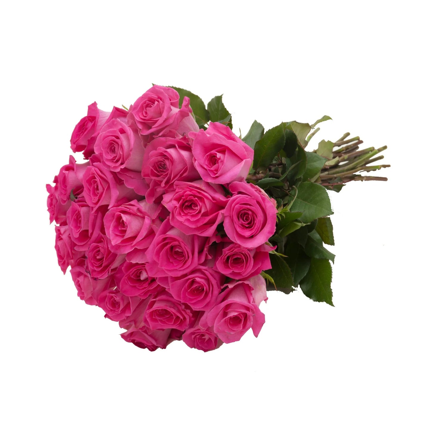 Double Dozen Roses - 24 long stem roses
