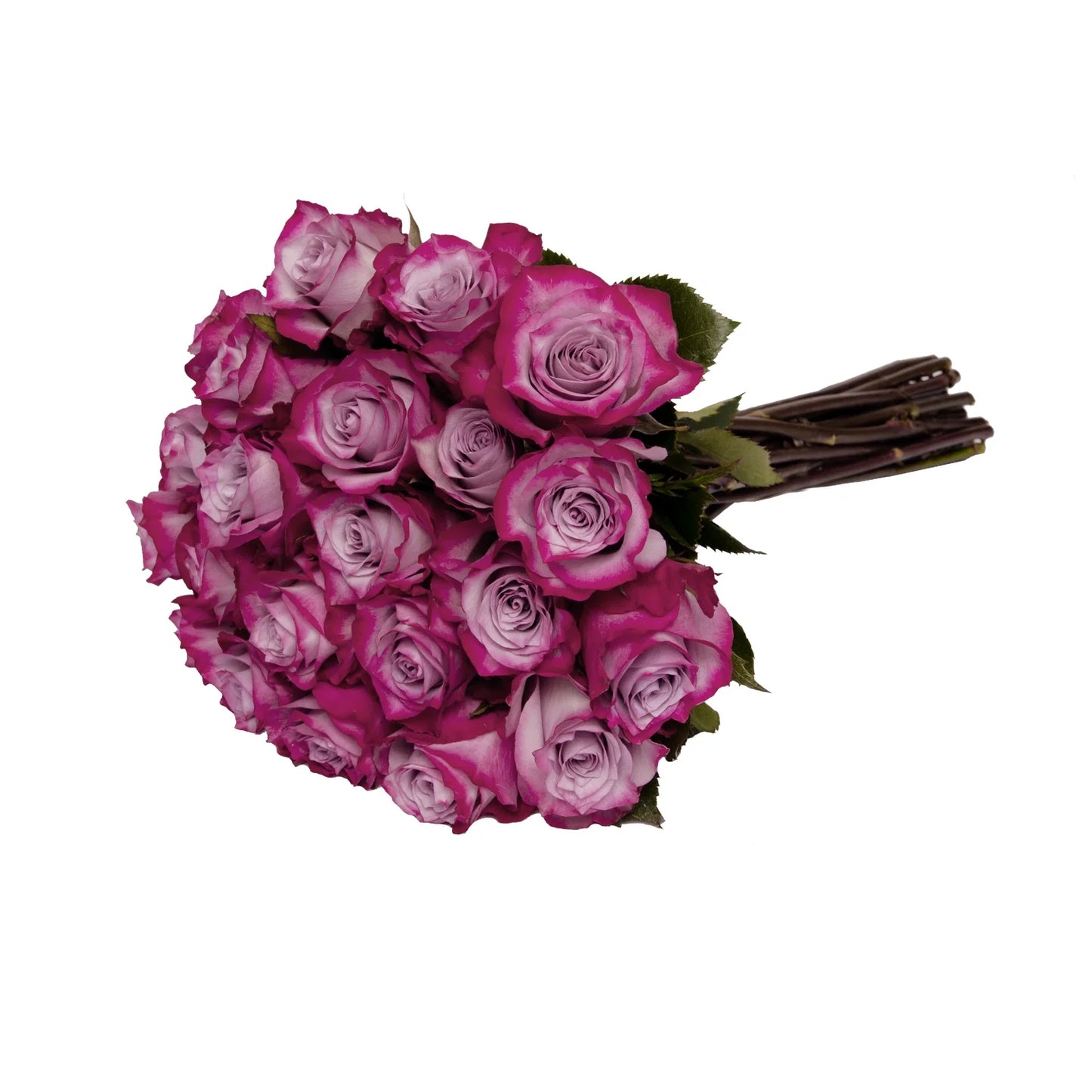 Double Dozen Roses - 24 long stem roses