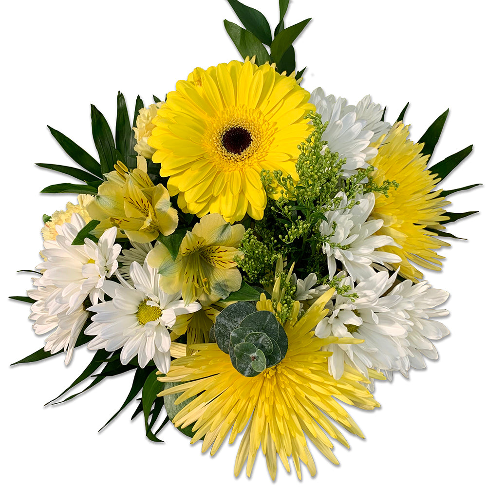 Lemon Meringue - Blooms to Go