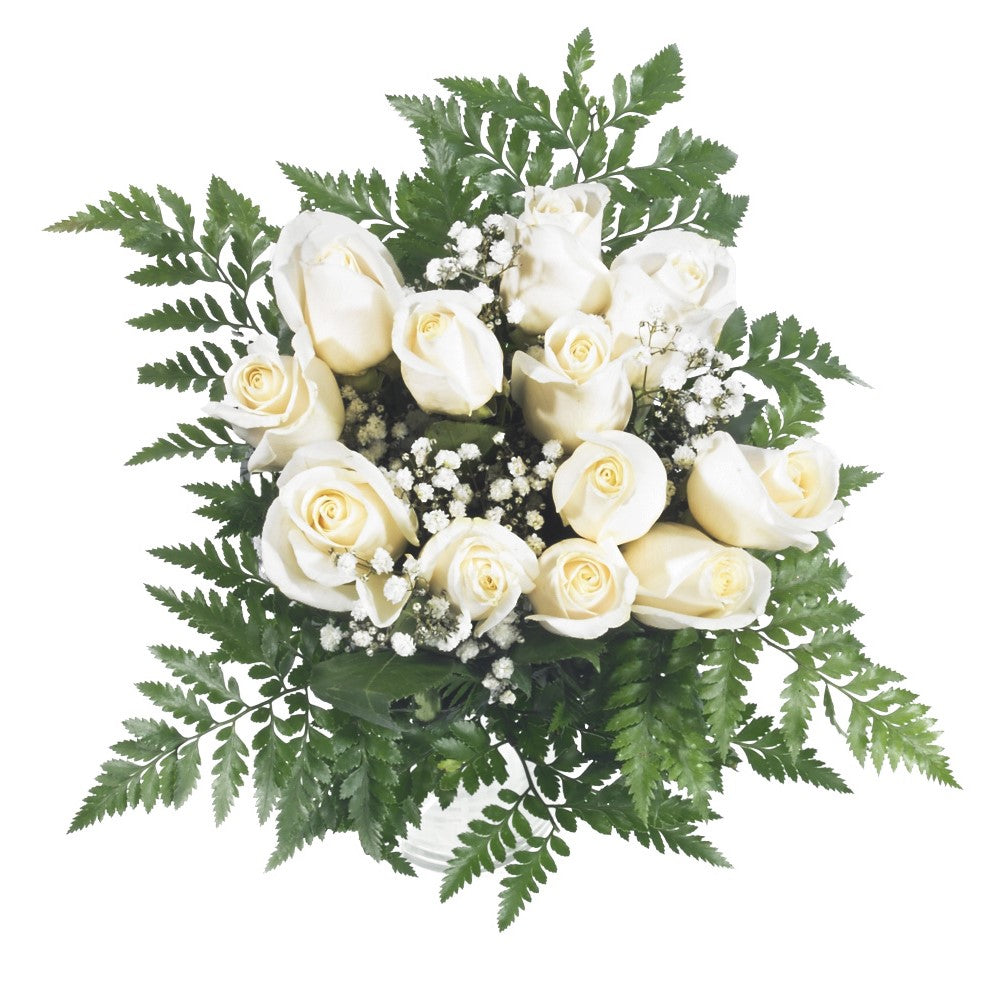 Double Dozen Roses - 24 long stem roses
