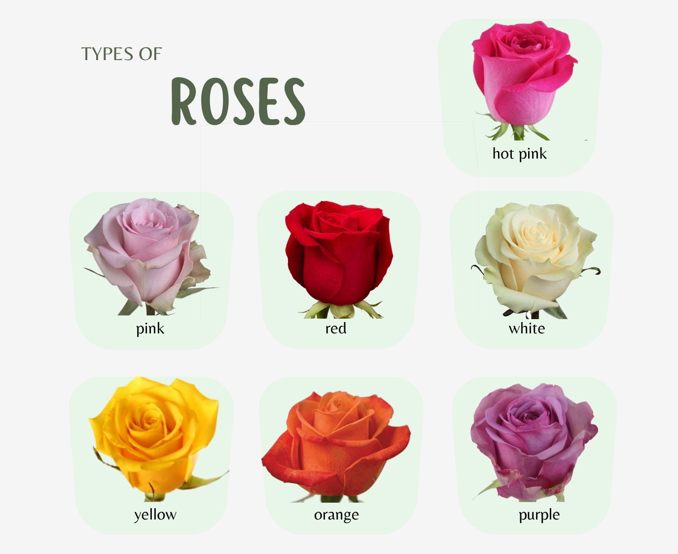 Bloom Bar  - Wholesale Flowers for your event